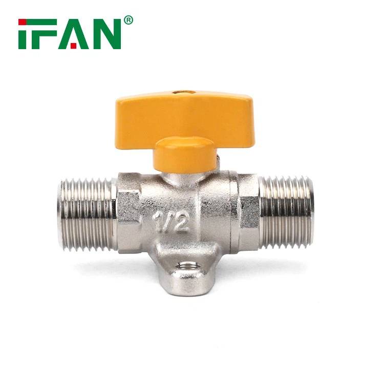 Gas Valve (10)