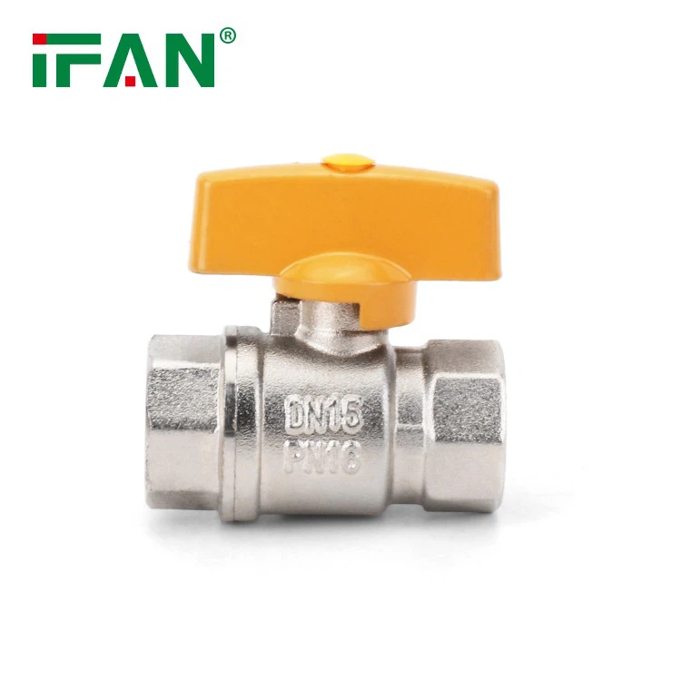Gas Valve (22)
