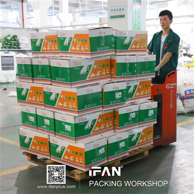 IFAN Packaging Workshop